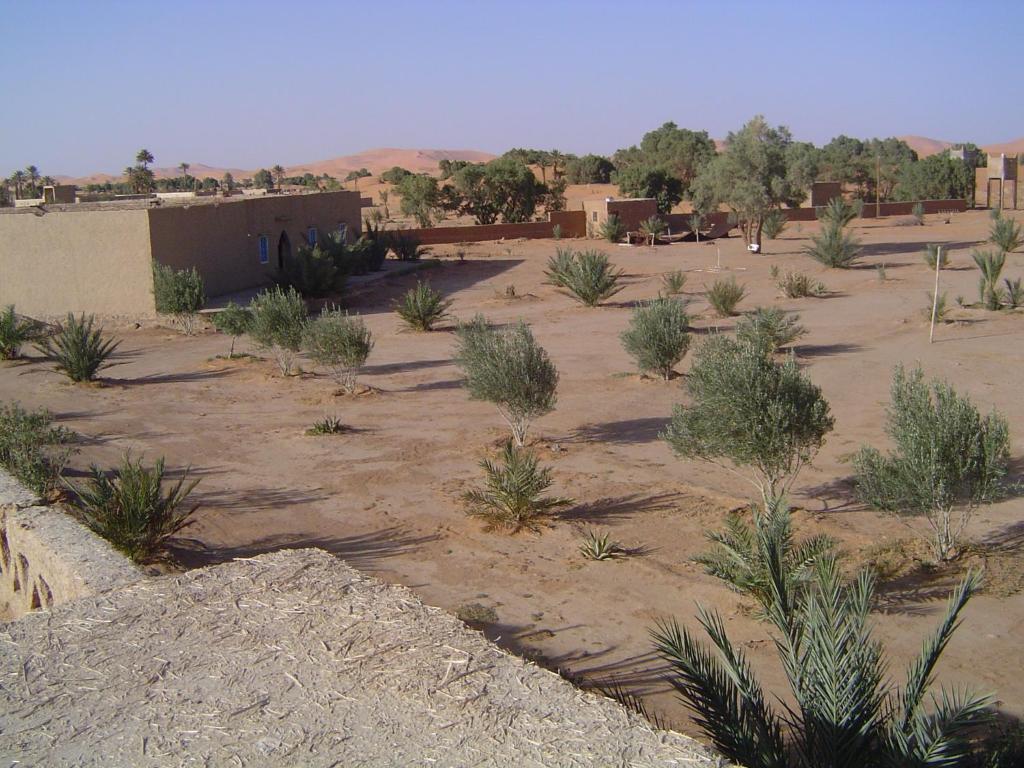 Auberge Africa مرزوكة المظهر الخارجي الصورة