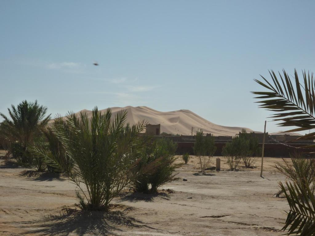 Auberge Africa مرزوكة المظهر الخارجي الصورة