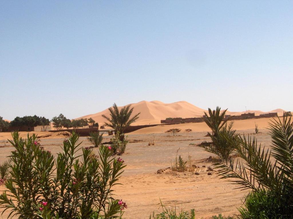 Auberge Africa مرزوكة المظهر الخارجي الصورة