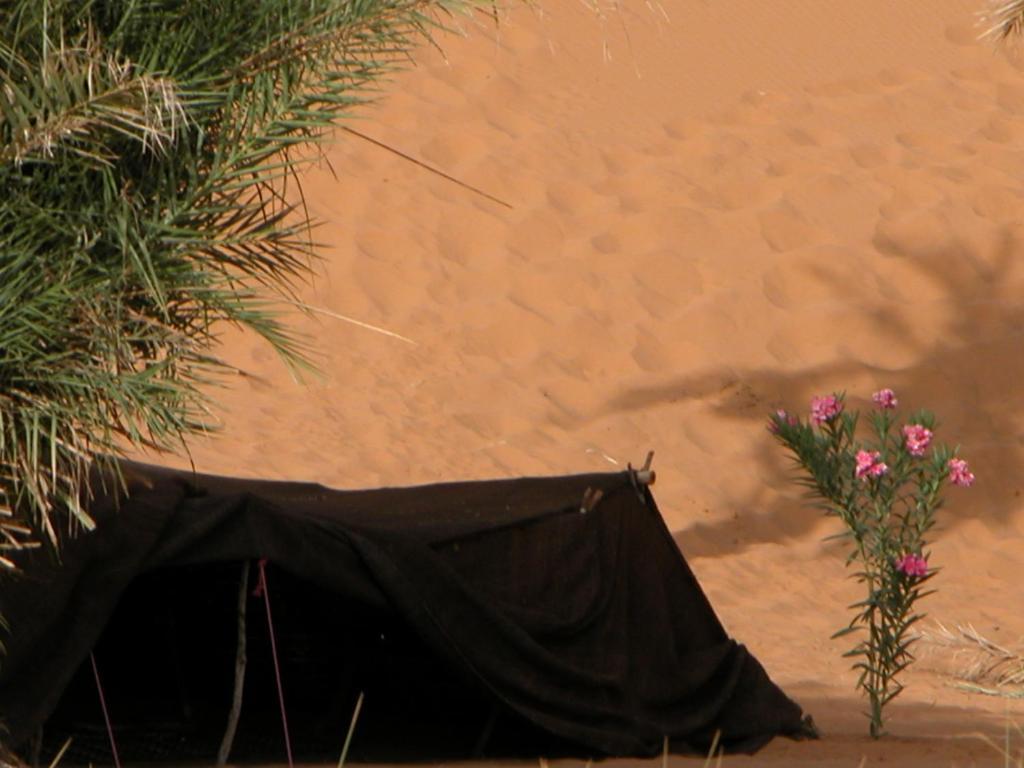 Auberge Africa مرزوكة الغرفة الصورة