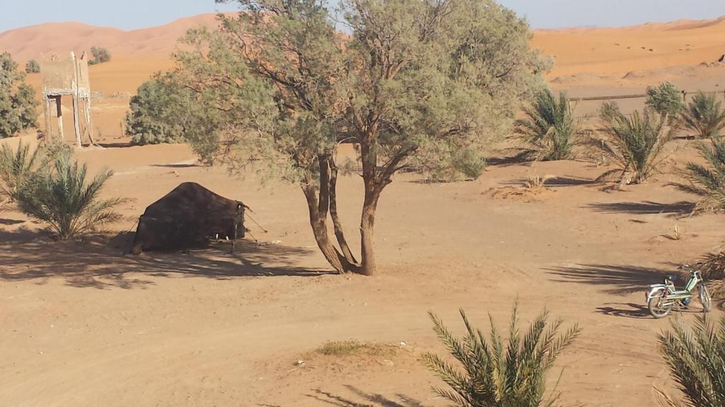 Auberge Africa مرزوكة المظهر الخارجي الصورة