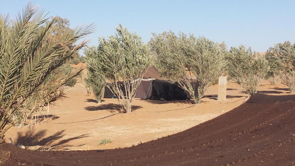 Auberge Africa مرزوكة الغرفة الصورة